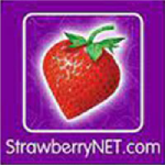 <br />
<b>Warning</b>:  Undefined variable $sec_name in <b>/home/stusyluk/discountcrown.com/store.php</b> on line <b>126</b><br />
StrawberryNET 